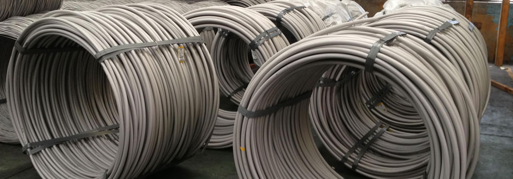 ASTM A580 Stainless Steel 310 / 310S Wire