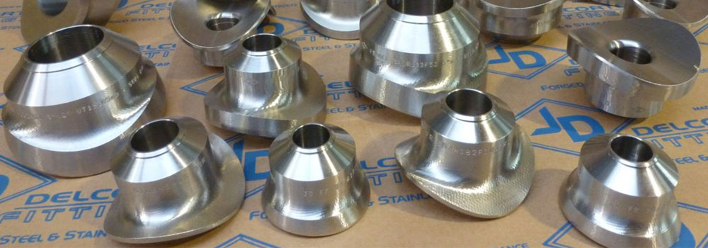 ASTM A182 Stainless Steel 904L Olets