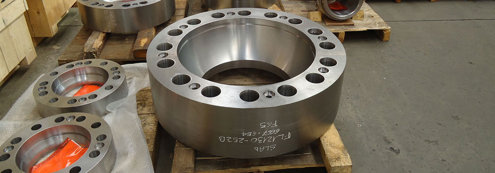 ASTM A182 Stainless Steel 317L Flanges