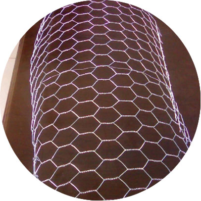 Incoloy 825 Hexagonal Wire Mesh