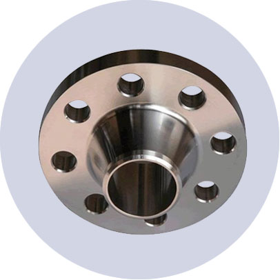 Stainless Steel 304 Weld Neck Flange